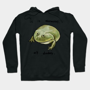 Wednesday Frog Art Hoodie